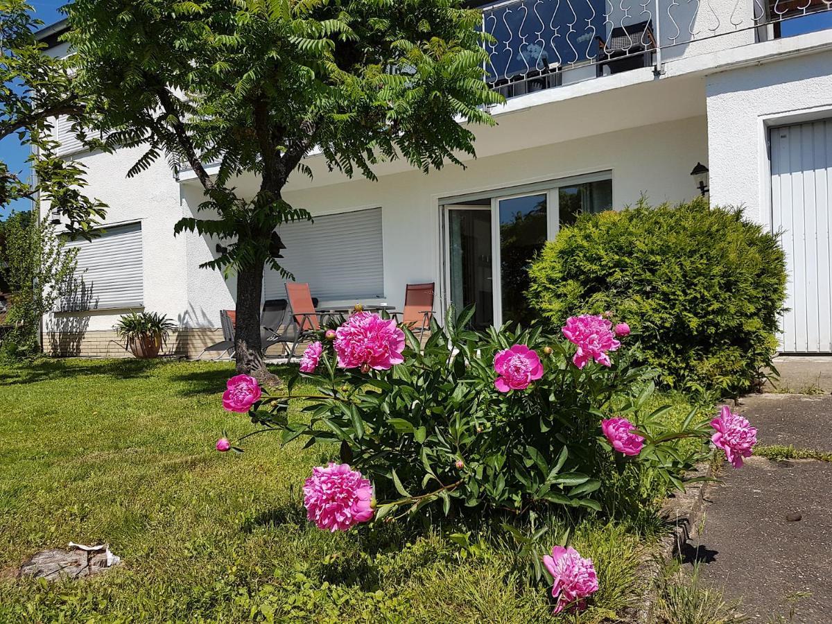 Rauszeit-Toroni Apartment Niedenstein Exterior foto